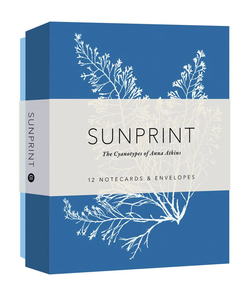 Sunprint Notecards by Anna Atkins
