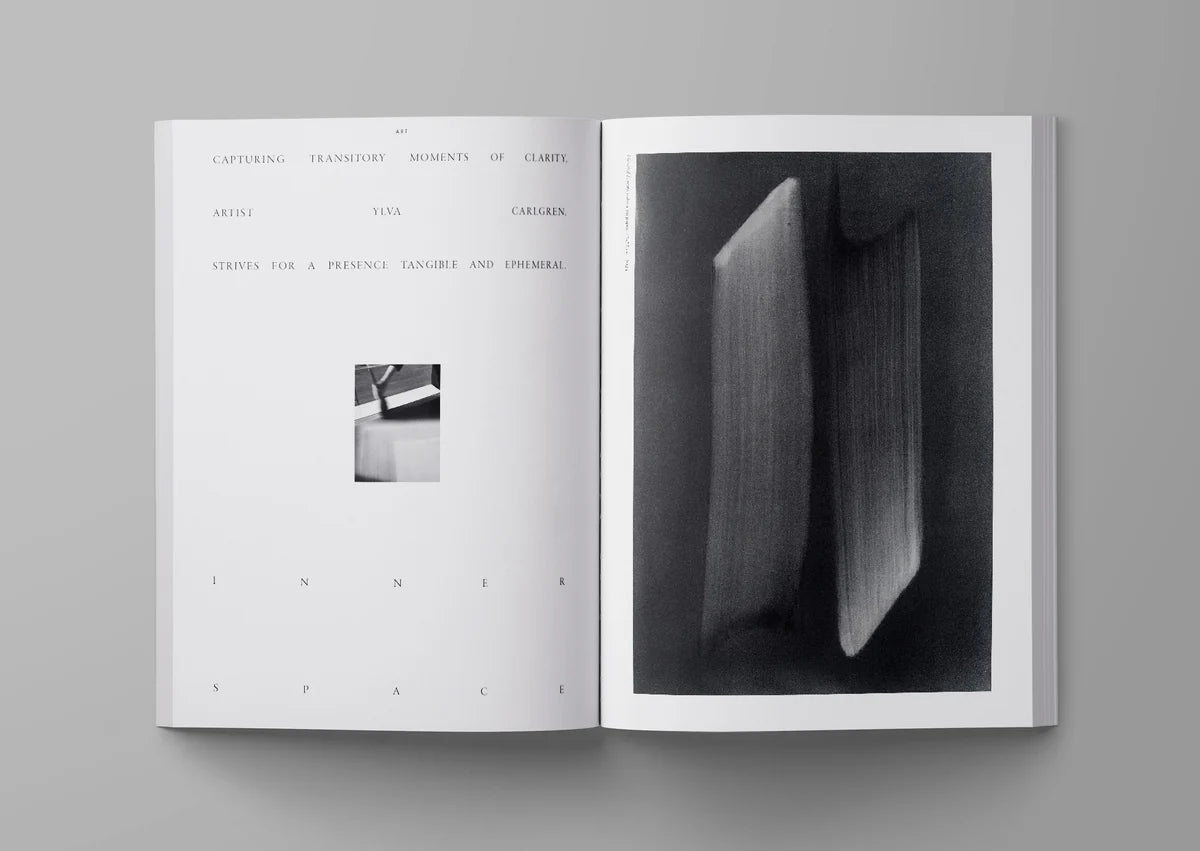 Ark journal vol. XIII in cover version 2