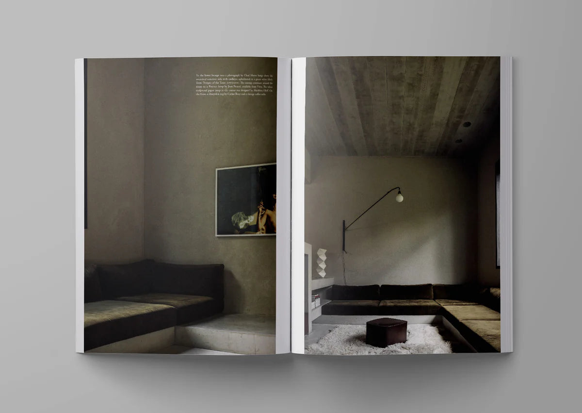 Ark journal vol. XIII in cover version 2