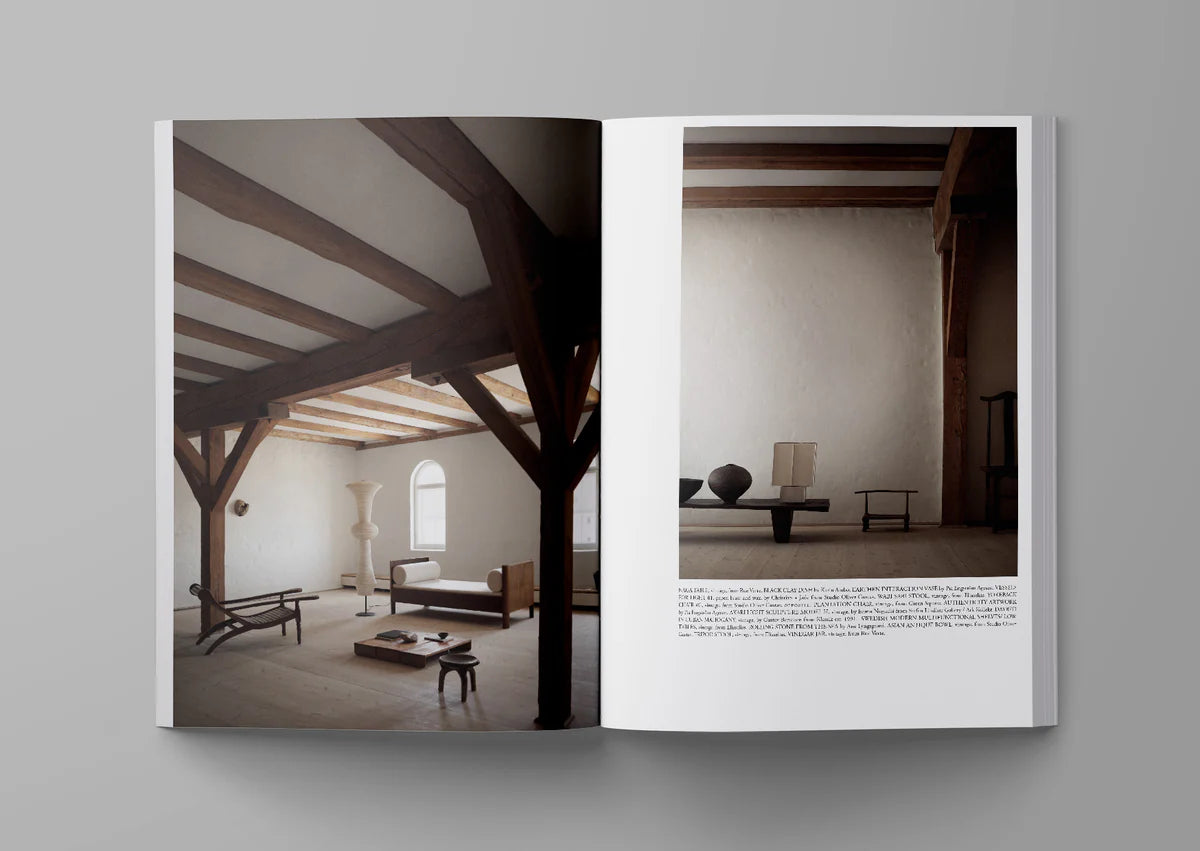 Ark journal vol. XIII in cover version 2