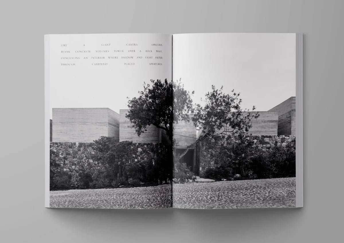 Ark journal vol. XIII in cover version 2