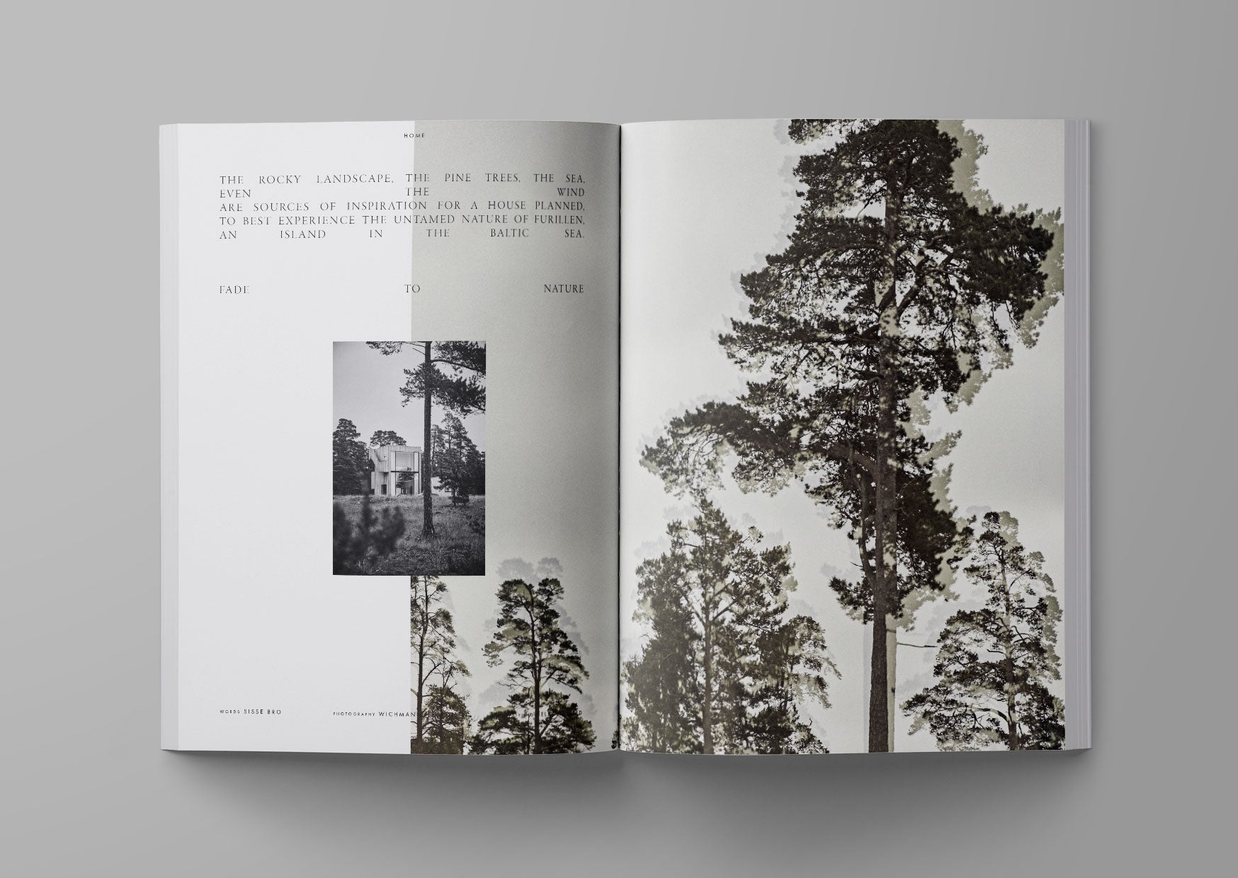 Ark journal vol. Xl in cover version 3