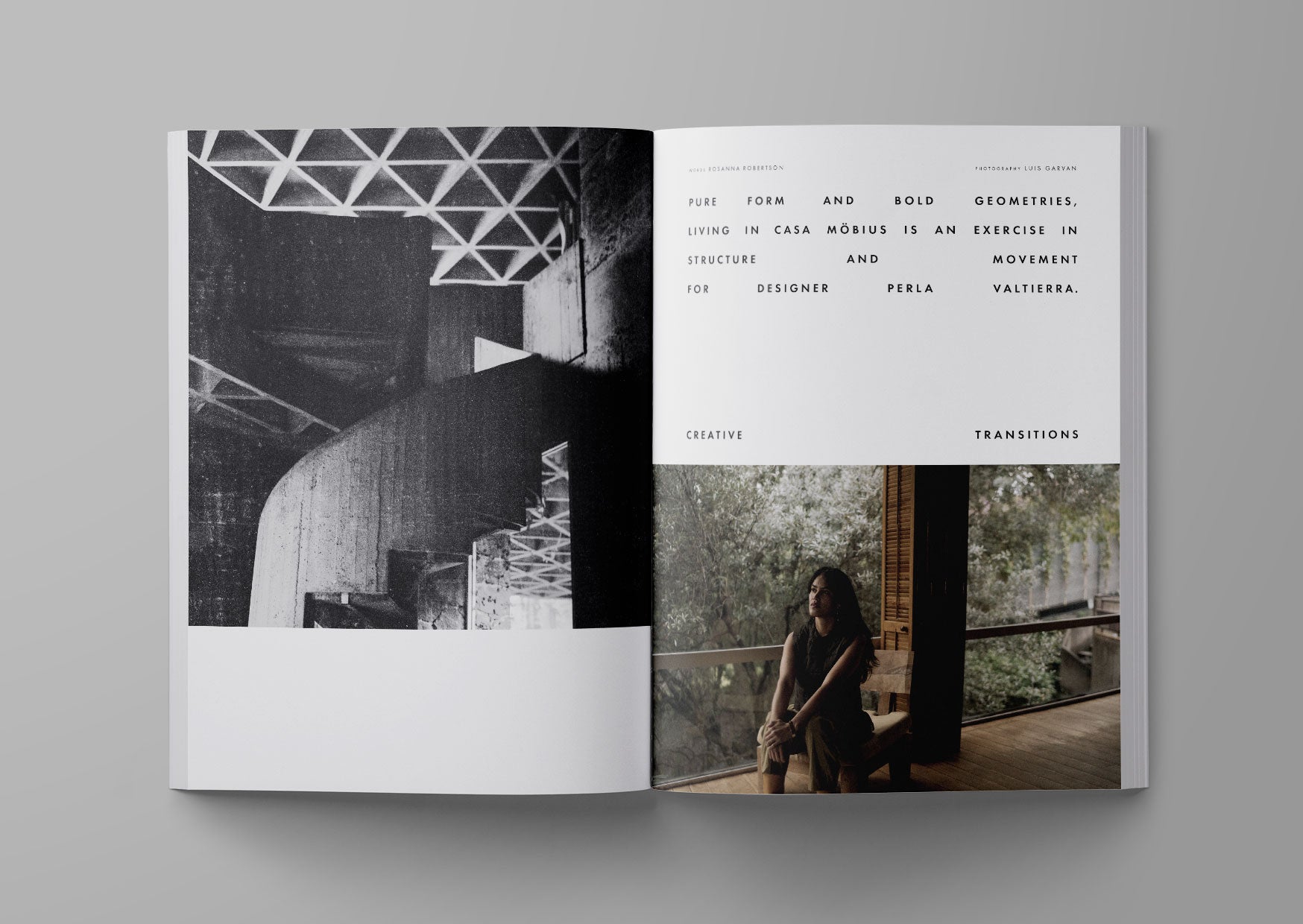 Ark journal vol. Xl in cover version 3