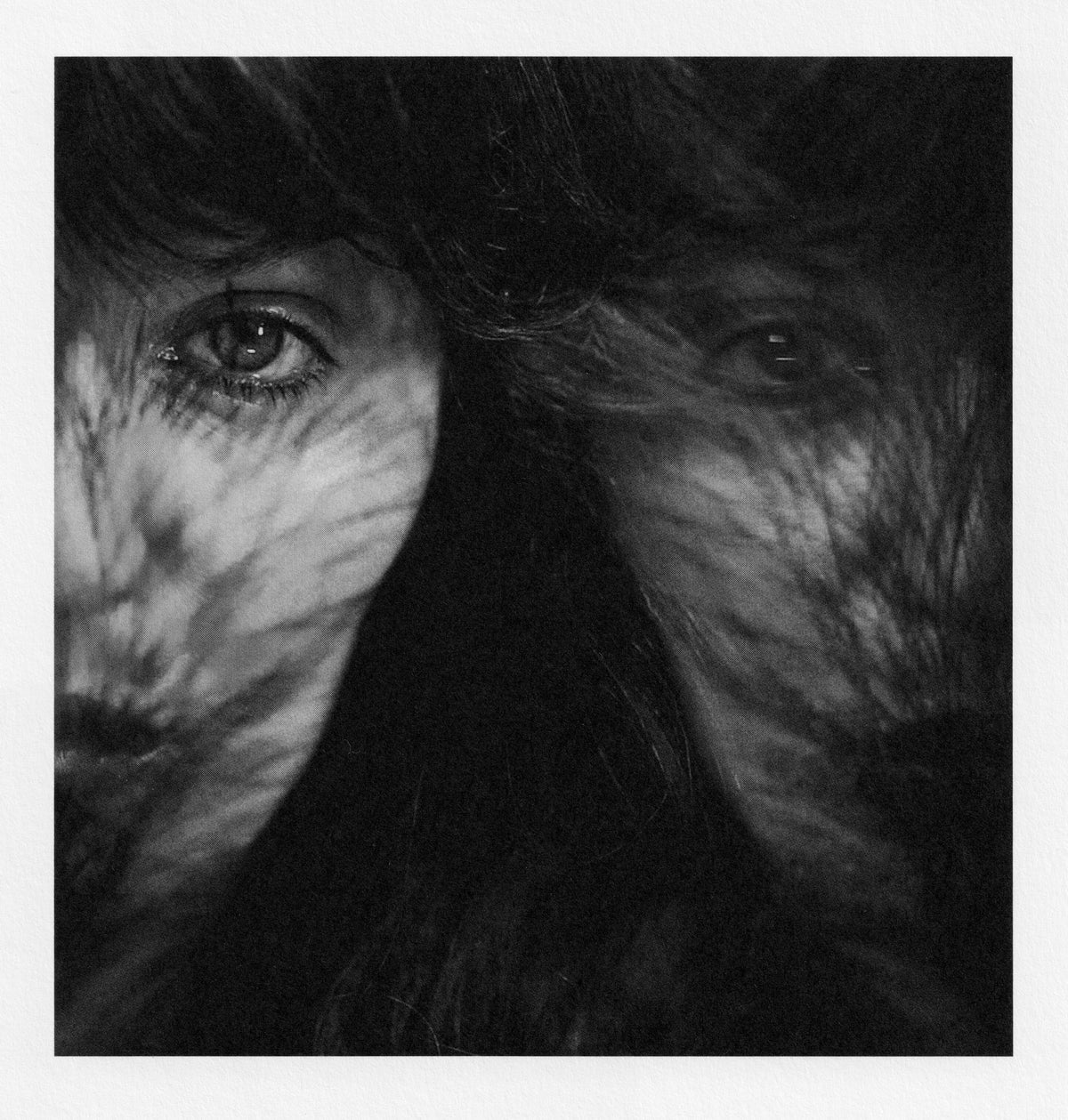 In my dream last night by Helena Christensen & Camilla Stærk
