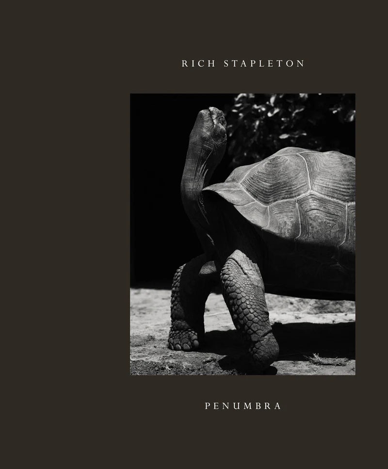 Rich Stapleton — Penumbra (Collection I)