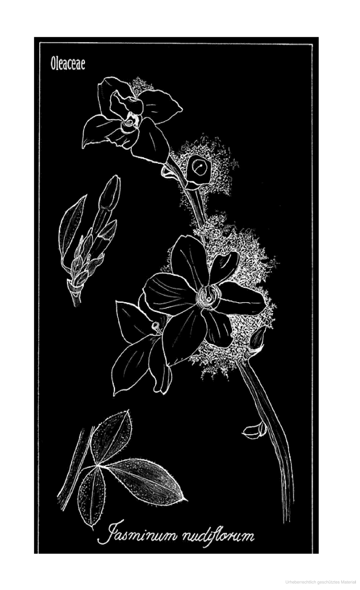 Lob der Erde, eine Reise in den Garten by Byung-Chul Han