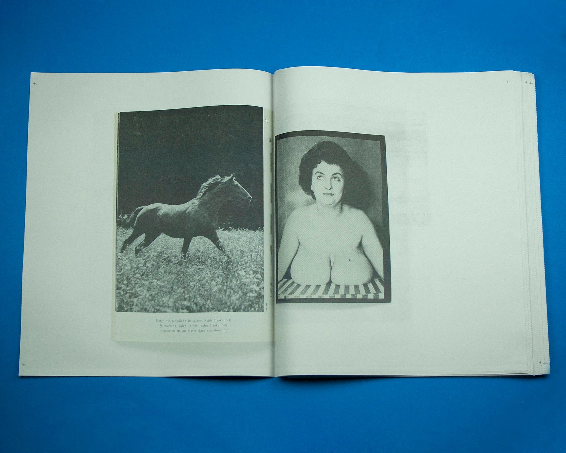 Incredibly small photobooks by Paul Kooker and Erik Kessels